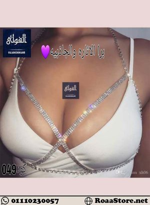 سلسله صدر شيك - كود 049